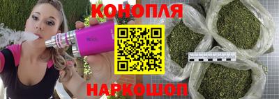 гидропоника Пугачёв