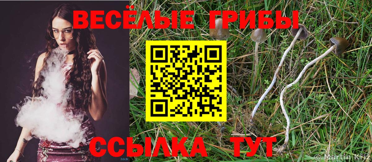 Галлюциногенные грибы прущие грибы Рыбинск